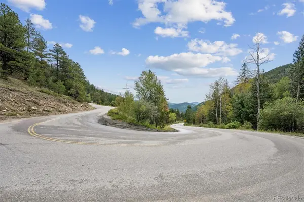 002 Fall River RD, Idaho Springs, CO 80452