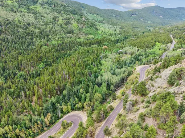 002 Fall River RD, Idaho Springs, CO 80452