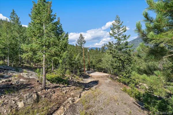 33844 Bergen View TRL, Evergreen, CO 80439