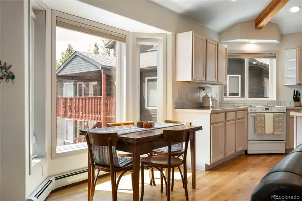 753 Mulligan #3, Fraser, CO 80442
