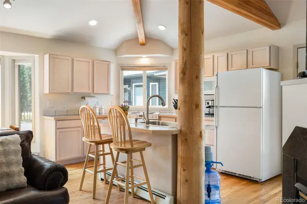 753 Mulligan #3, Fraser, CO 80442