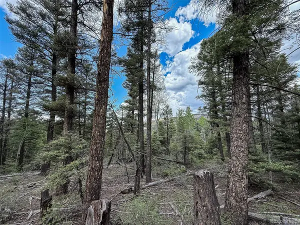 6031 Bruce RD, Fort Garland, CO 81133