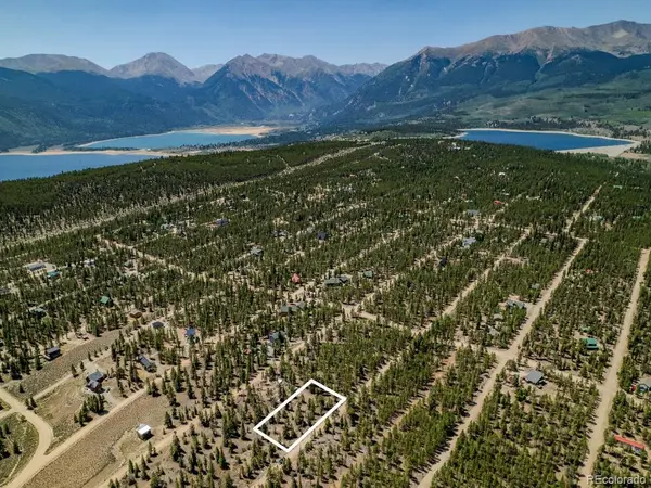 124 Fir DR, Twin Lakes, CO 81251