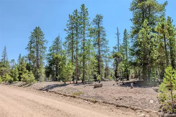 124 Fir DR, Twin Lakes, CO 81251