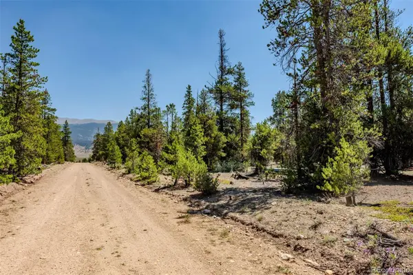 124 Fir DR, Twin Lakes, CO 81251
