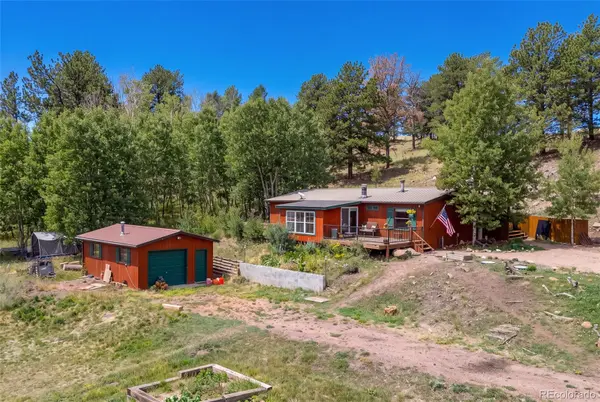 242 Poplar LN, Guffey, CO 80820