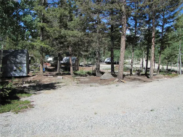 251 Pullman LOOP, Hartsel, CO 80449