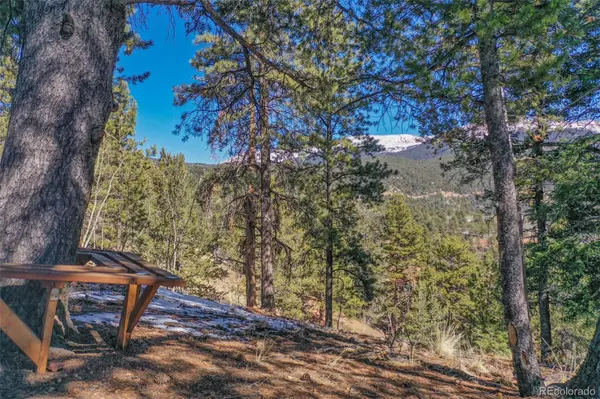 493 Horseshoe DR, Divide, CO 80814