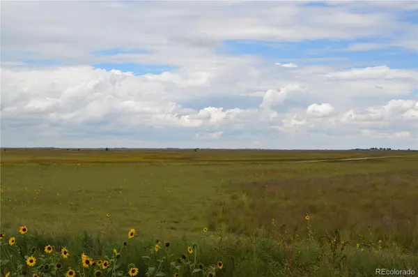 Parcel 7 County Rd V, Rush, CO 80833