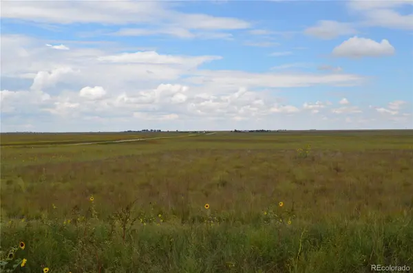 Parcel 7 County Rd V, Rush, CO 80833