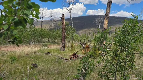 Lot 1617 Kopf LN, Fort Garland, CO 81133