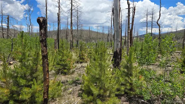 Lot 1617 Kopf LN, Fort Garland, CO 81133