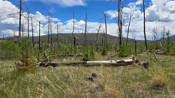 Lot 1617 Kopf LN, Fort Garland, CO 81133