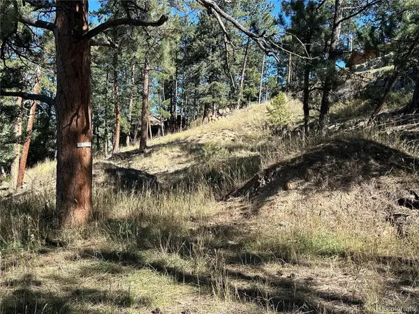 00 Pine RD, Evergreen, CO 80439