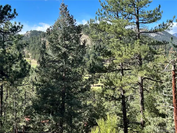 00 Pine RD, Evergreen, CO 80439