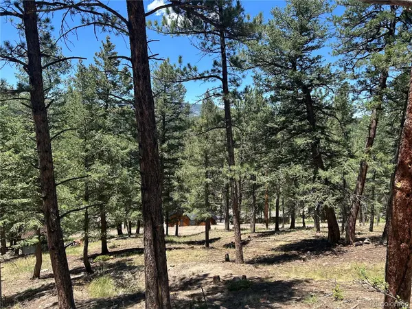 00 Pine RD, Evergreen, CO 80439