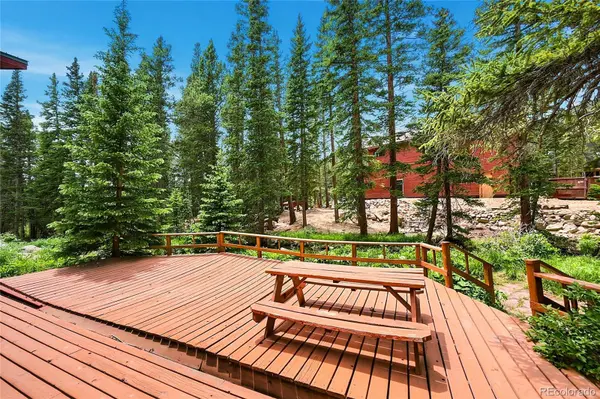 353 Brook DR, Idaho Springs, CO 80452