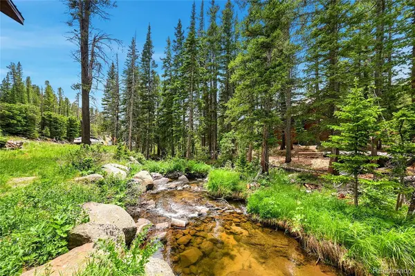 353 Brook DR, Idaho Springs, CO 80452