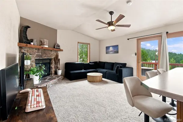 173 Wisp Creek DR, Bailey, CO 80421
