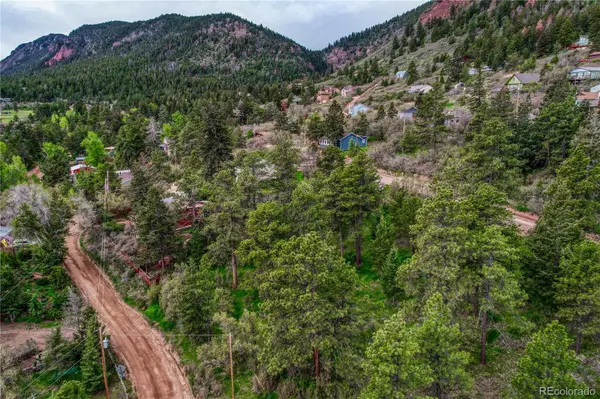 Buena Vista AVE, Palmer Lake, CO 80133