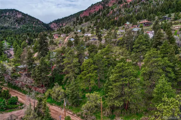 Buena Vista AVE, Palmer Lake, CO 80133