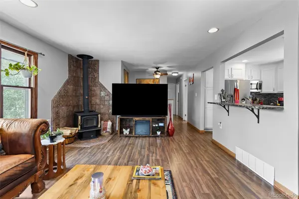 41 Yew LN, Bailey, CO 80421