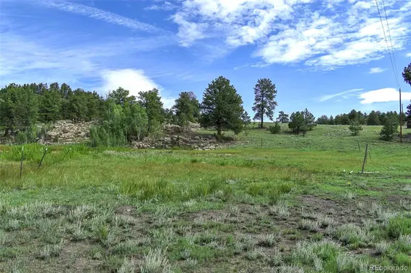 32 Peak DR, Guffey, CO 80820