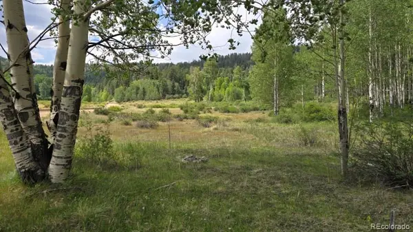 Lots 6276 & 6277 Malcolm and Shioshita RD, San Luis, CO 81152