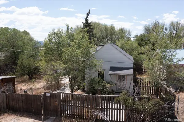 119 Mill AVE, Buena Vista, CO 81211