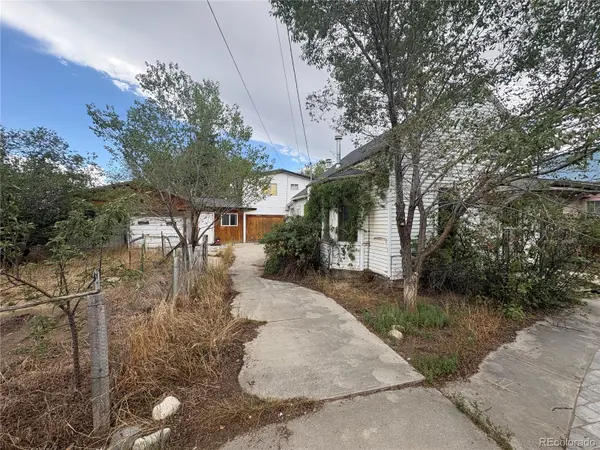119 Mill AVE, Buena Vista, CO 81211