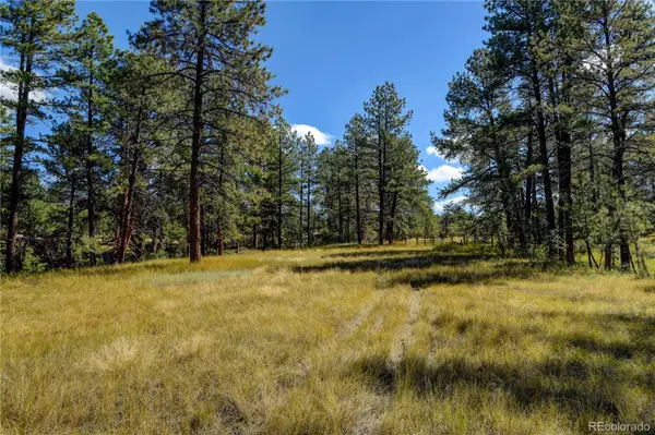 E Park DR, Franktown, CO 80116