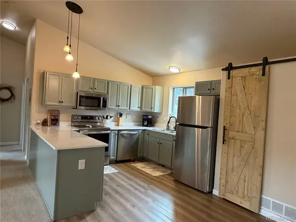 303 Virginia RD #E, Bailey, CO 80421