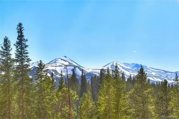 103 CR 529, Breckenridge, CO 80424