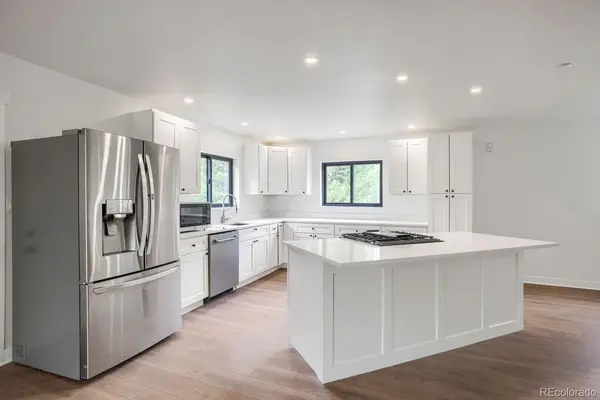 93 Prospect DR, Alma, CO 80420