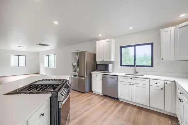 93 Prospect DR, Alma, CO 80420