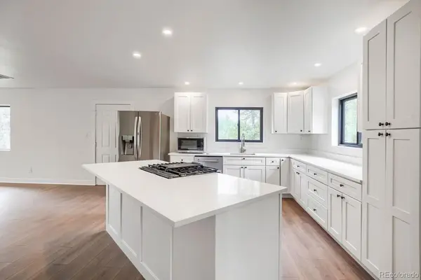 93 Prospect DR, Alma, CO 80420