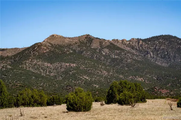 County Road 132, Penrose, CO 81240