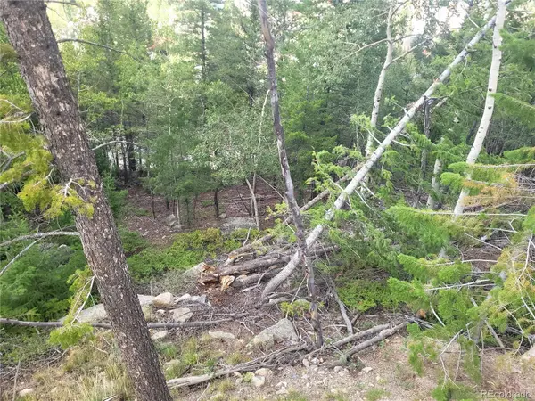 00 Guanella Pass RD, Georgetown, CO 80444