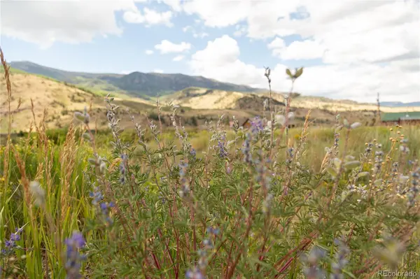 341 Spruce DR, Creede, CO 81130