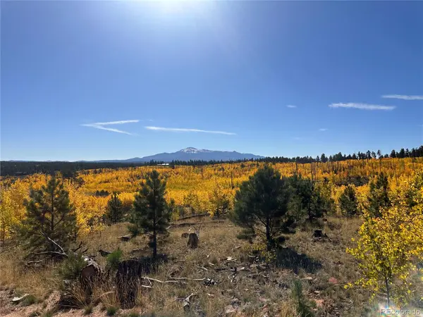 Lot 2 County Road 51, Florissant, CO 80816