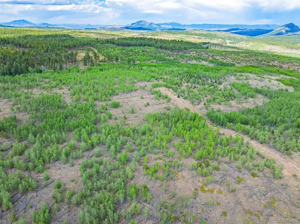 Lot 2 County Road 51, Florissant, CO 80816