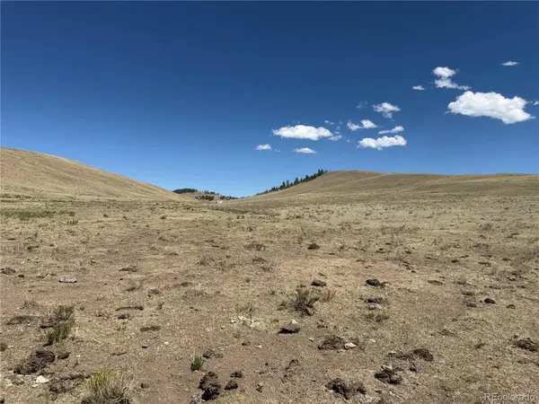 3216 Coweta TRL, Hartsel, CO 80449