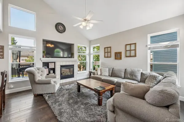 16287 Blueleaf PL, Parker, CO 80134