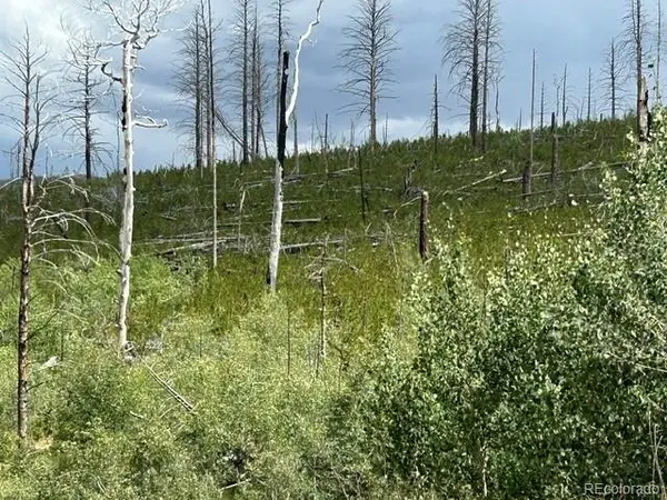 Block One (1), Lot Sixteen (16), Paradise Acres Su, La Veta, CO 81055