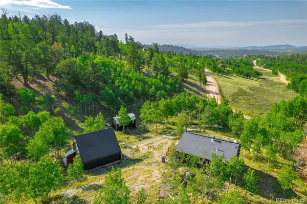 1391 Ute TRL, Como, CO 80432