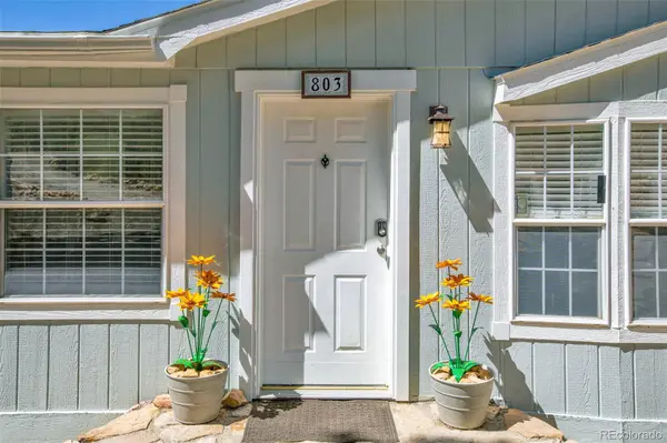 803 Bonell DR, Fairplay, CO 80440