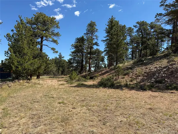 168 Main ST, Red Feather Lakes, CO 80545
