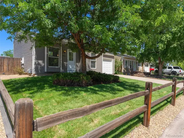 17743 Squirreltail PL, Parker, CO 80134