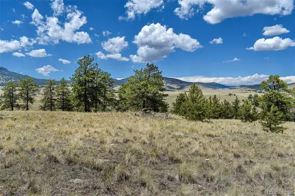 4278 County Road 71, Guffey, CO 80820