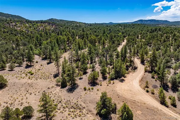 948 White Wing WAY, Cotopaxi, CO 81223
